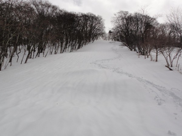 柳沢峠付近